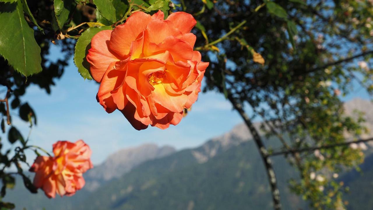 Apartmán Bergh Am Berg Irschen Exteriér fotografie